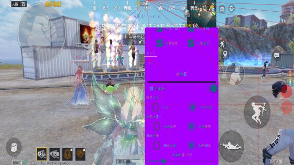 和平精英辅助【飞鸟】